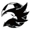 Toronto Falcons